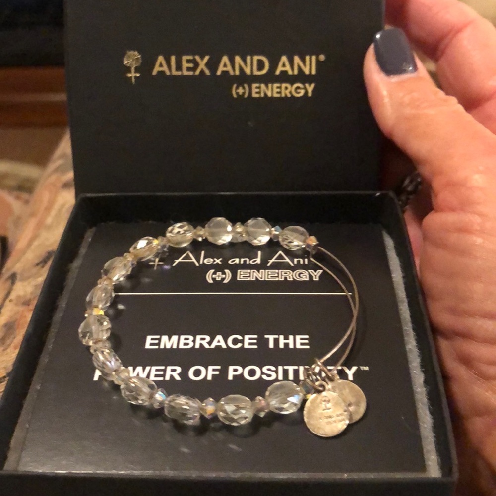 Alex and Ani charm bracelet